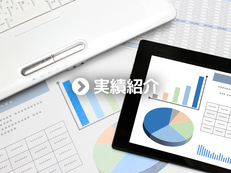 実績紹介